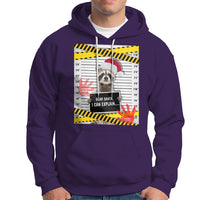 Christmas Hoodie Dear Santa I Can Explain Funny Raccoon Lover - Wonder Print Shop