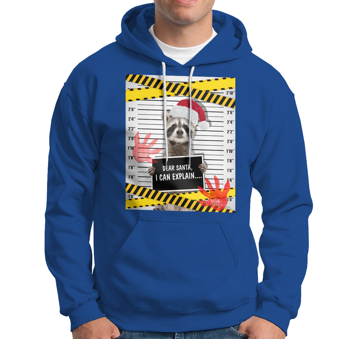Christmas Hoodie Dear Santa I Can Explain Funny Raccoon Lover - Wonder Print Shop