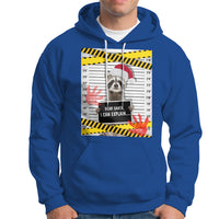 Christmas Hoodie Dear Santa I Can Explain Funny Raccoon Lover - Wonder Print Shop