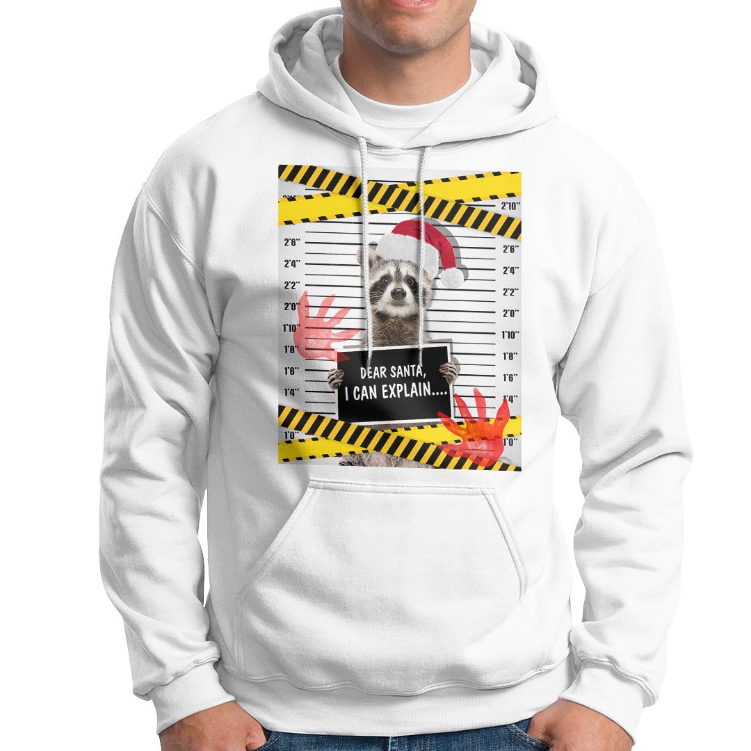 Christmas Hoodie Dear Santa I Can Explain Funny Raccoon Lover - Wonder Print Shop