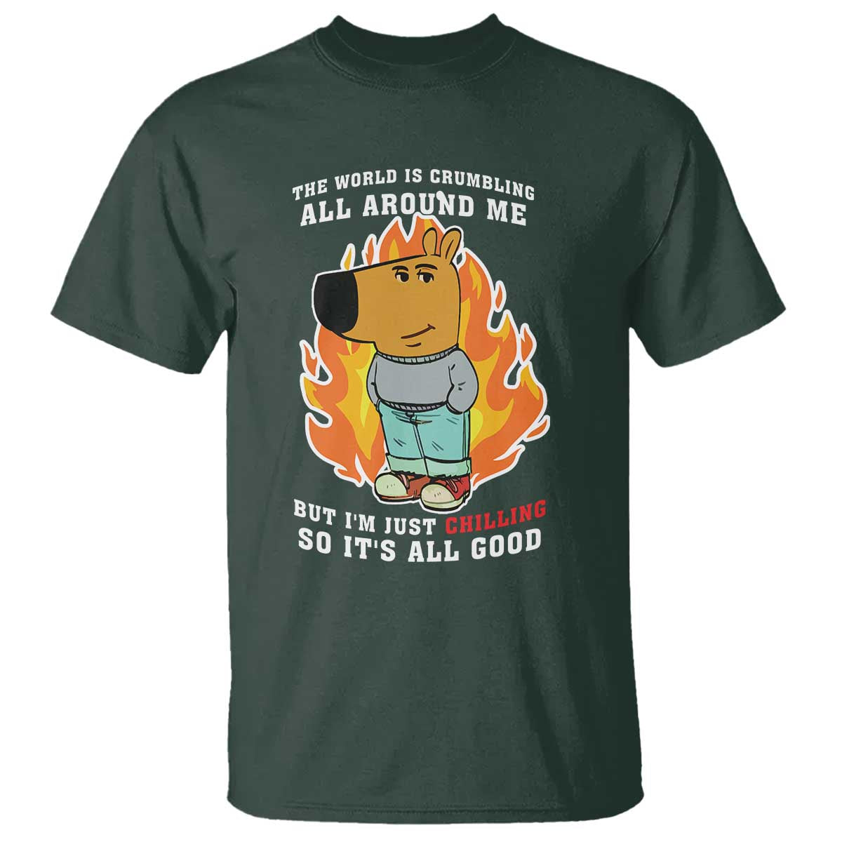 The World Is Crumbling All Around Me But Im Just Chilling So Its All Good T Shirt - Wonder Print Shop
