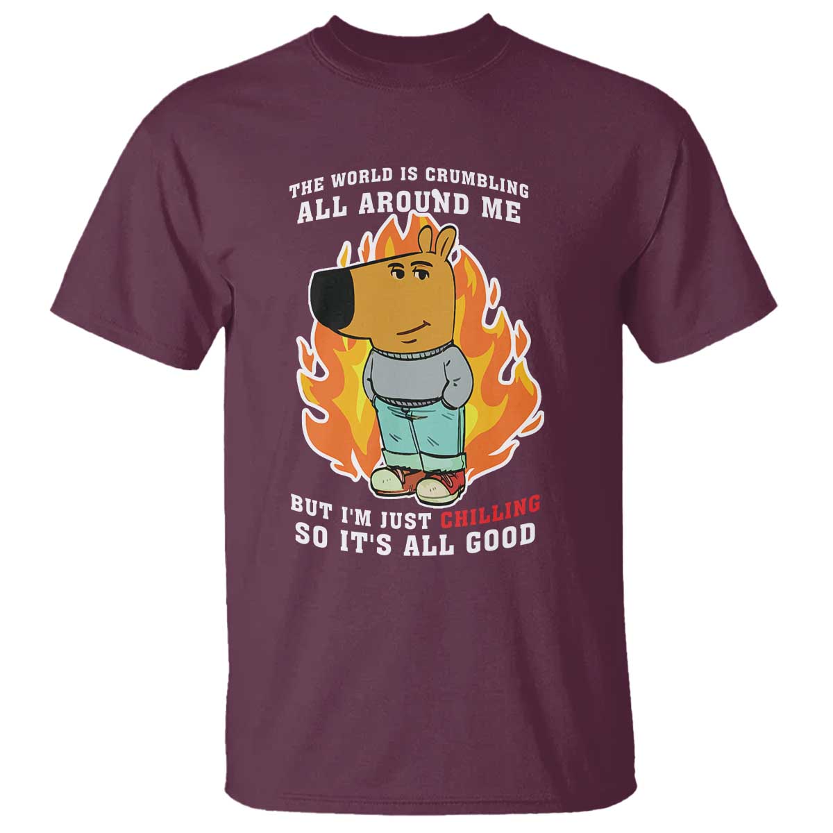 The World Is Crumbling All Around Me But Im Just Chilling So Its All Good T Shirt - Wonder Print Shop