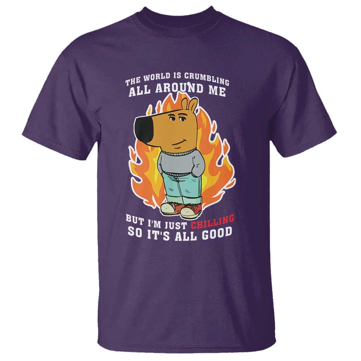 The World Is Crumbling All Around Me But Im Just Chilling So Its All Good T Shirt - Wonder Print Shop