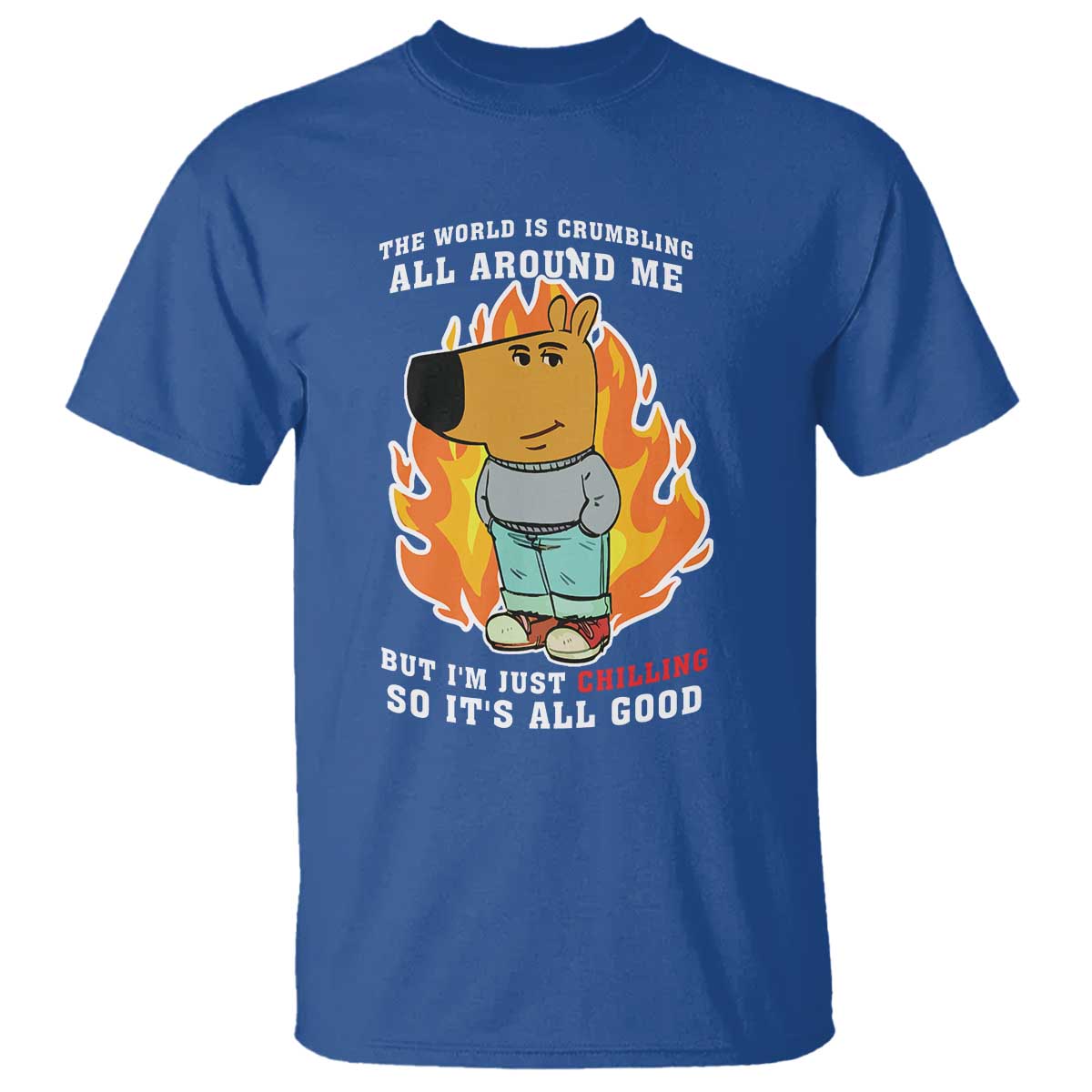The World Is Crumbling All Around Me But Im Just Chilling So Its All Good T Shirt - Wonder Print Shop