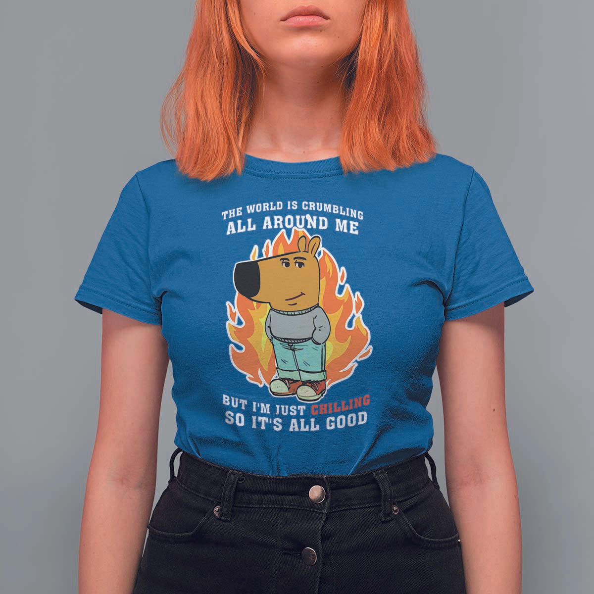 The World Is Crumbling All Around Me But Im Just Chilling So Its All Good T Shirt For Women - Wonder Print Shop