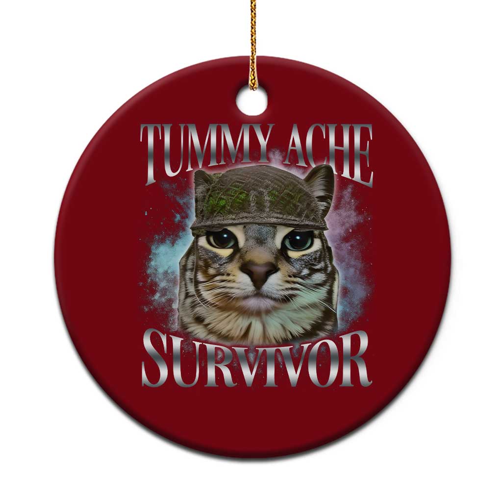 Tummy Ache Survivor Cat Meme Ceramic Ornament Vintage 90s Graphic Funny Stomach Issues Bootleg - Wonder Print Shop