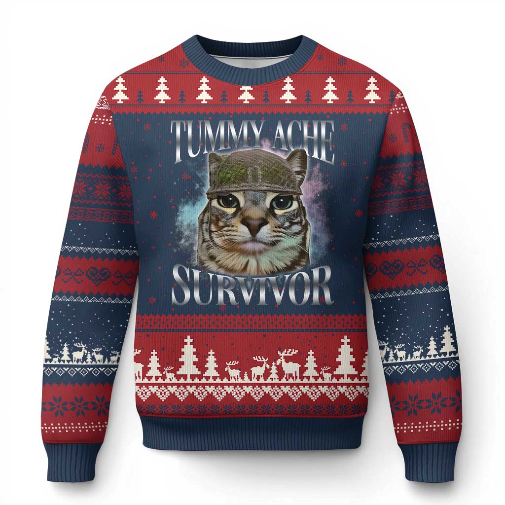 Tummy Ache Survivor Cat Meme Ugly Christmas Sweater Vintage 90s Graphic Funny Stomach Issues Bootleg - Wonder Print Shop