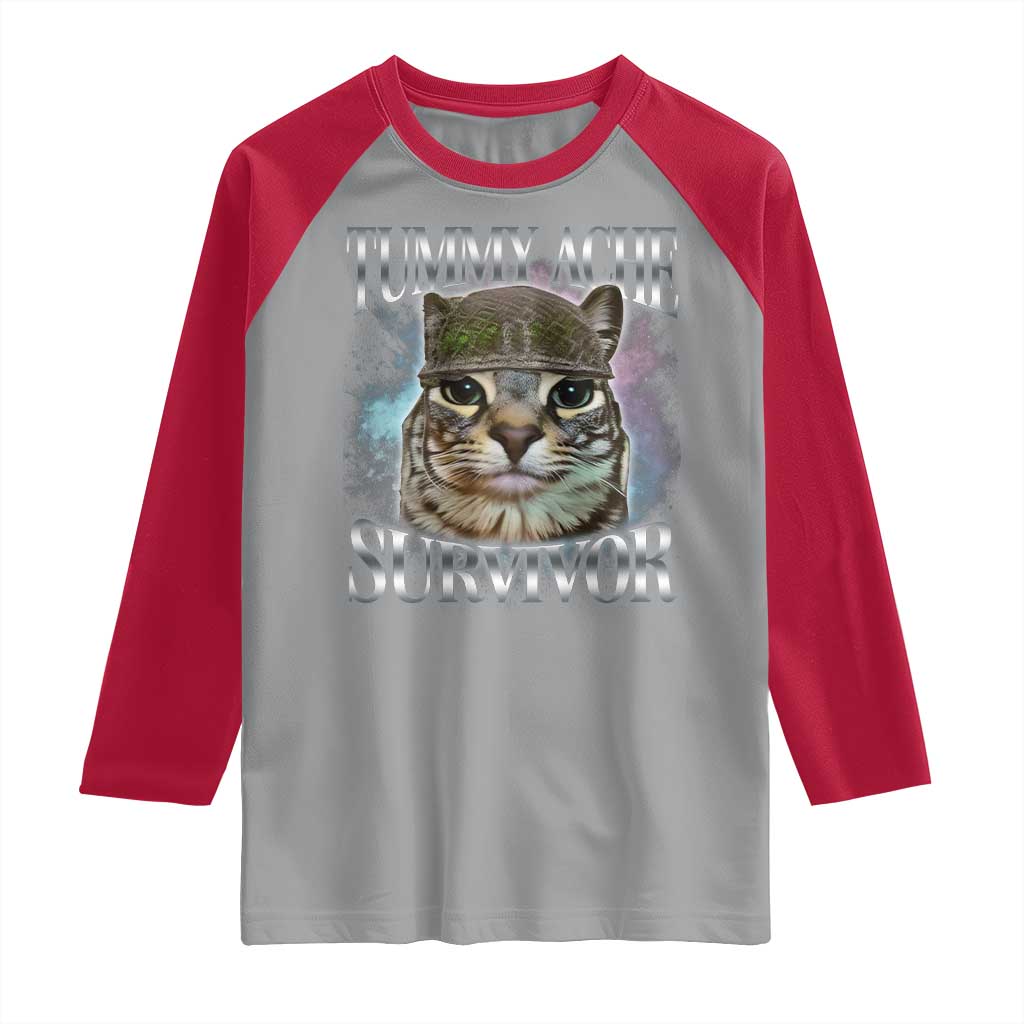 Tummy Ache Survivor Cat Meme Raglan Shirt Vintage 90s Graphic Funny Stomach Issues Bootleg - Wonder Print Shop