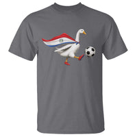 Funny Paraguay Soccer T Shirt Goose Wearing Paraguayan Flag Patriotic Football Fan Graphic