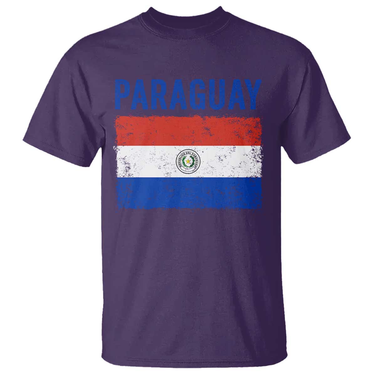 Vintage Paraguay Flag Distressed Paraguayan Pride Patriotic Soccer Fan Graphic T Shirt
