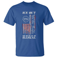 Ice Out No Human Is Illegal T Shirt Vintage Old 1776 US Flag