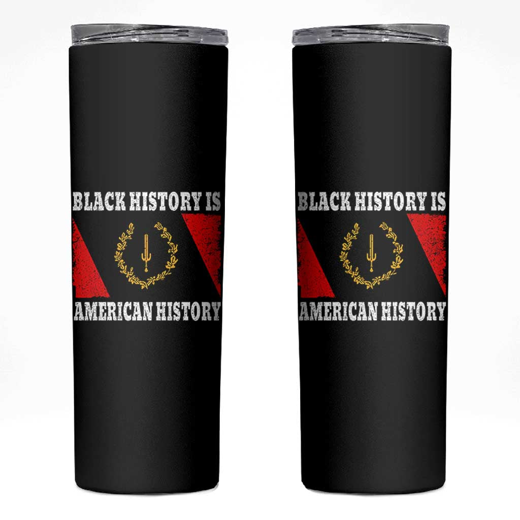 Black History Is American History Skinny Tumbler Afro African Black American Heritage Flag