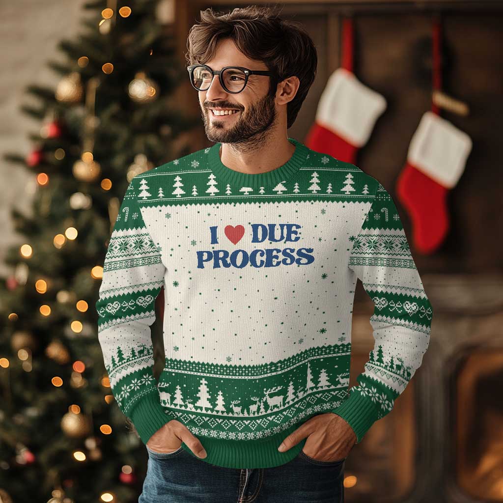 I Love Due Process Ugly Christmas Sweater Pro Immigration Immigrants Feed America - Wonder Print Shop