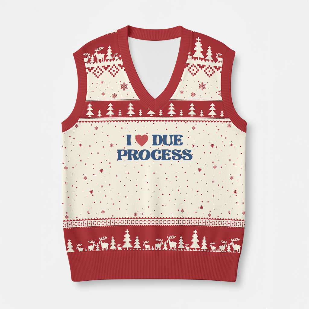 I Love Due Process V-Neck Knit Sweater Vest Pro Immigration Immigrants Feed America - Wonder Print Shop