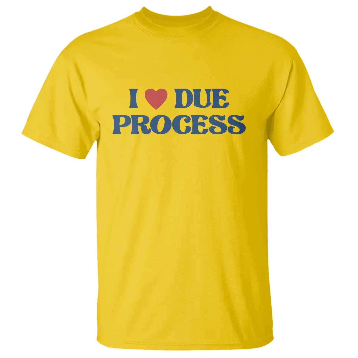 I Love Due Process T Shirt Pro Immigration Immigrants Feed America
