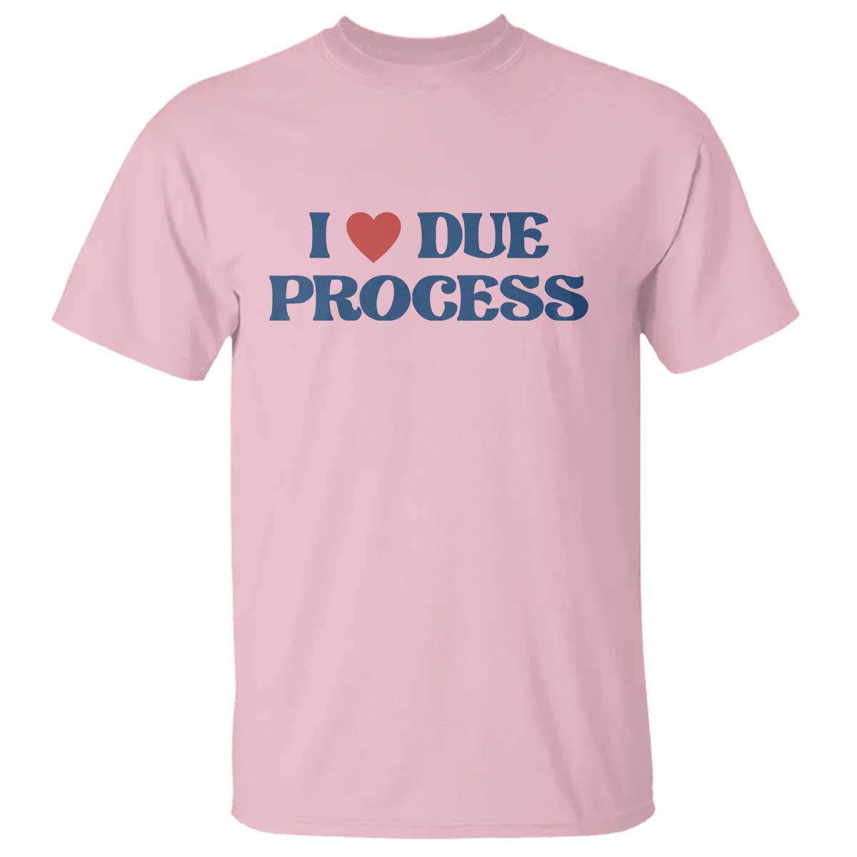 I Love Due Process T Shirt Pro Immigration Immigrants Feed America