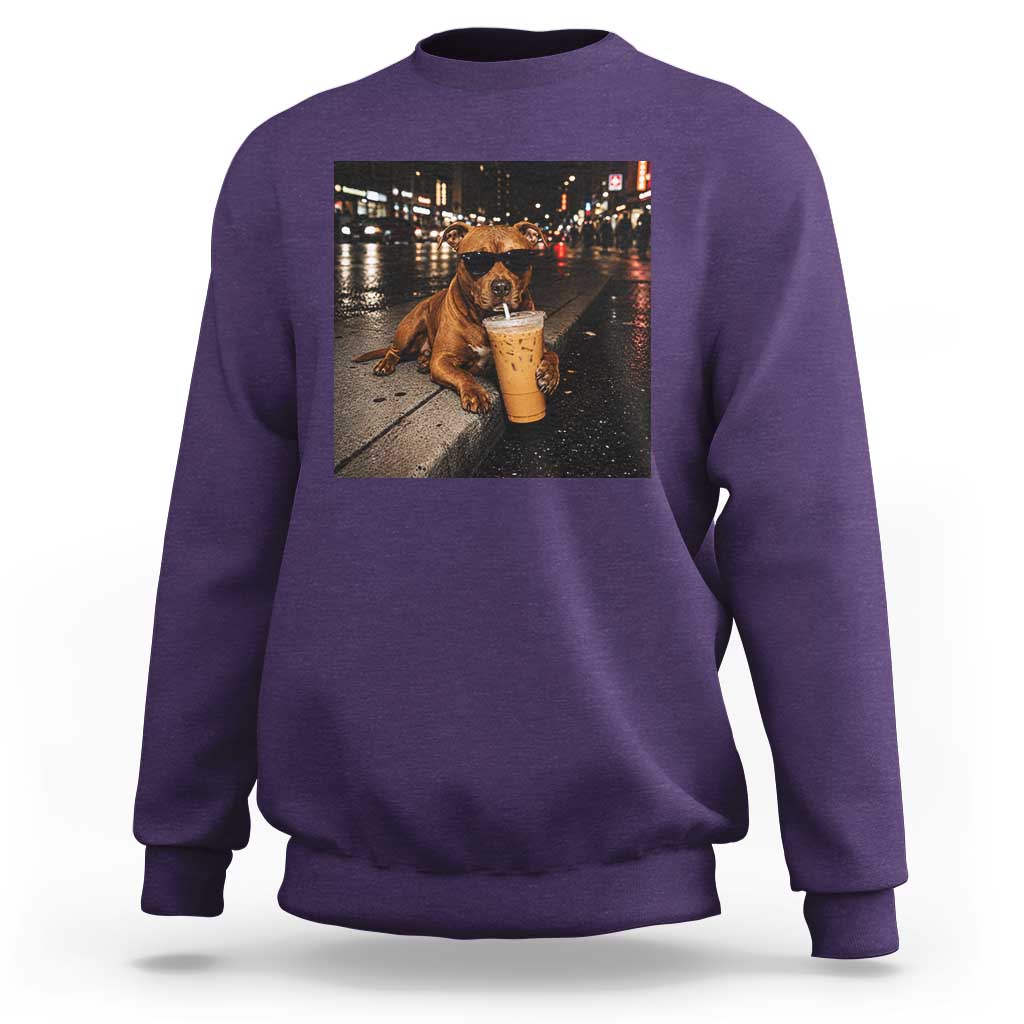 Funny Pitbull Drinking Iced Coffee Sweatshirt Vintage Pittie Dog Lovers Meme