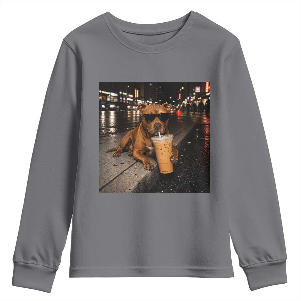 Funny Pitbull Drinking Iced Coffee Youth Sweatshirt Vintage Pittie Dog Lovers Meme