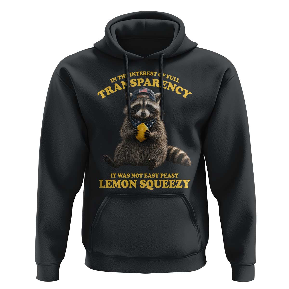 Funny Raccoon Meme Hoodie In The Interest Of Full Transparency It Was Not Easy Peasy Lemon Squeezy