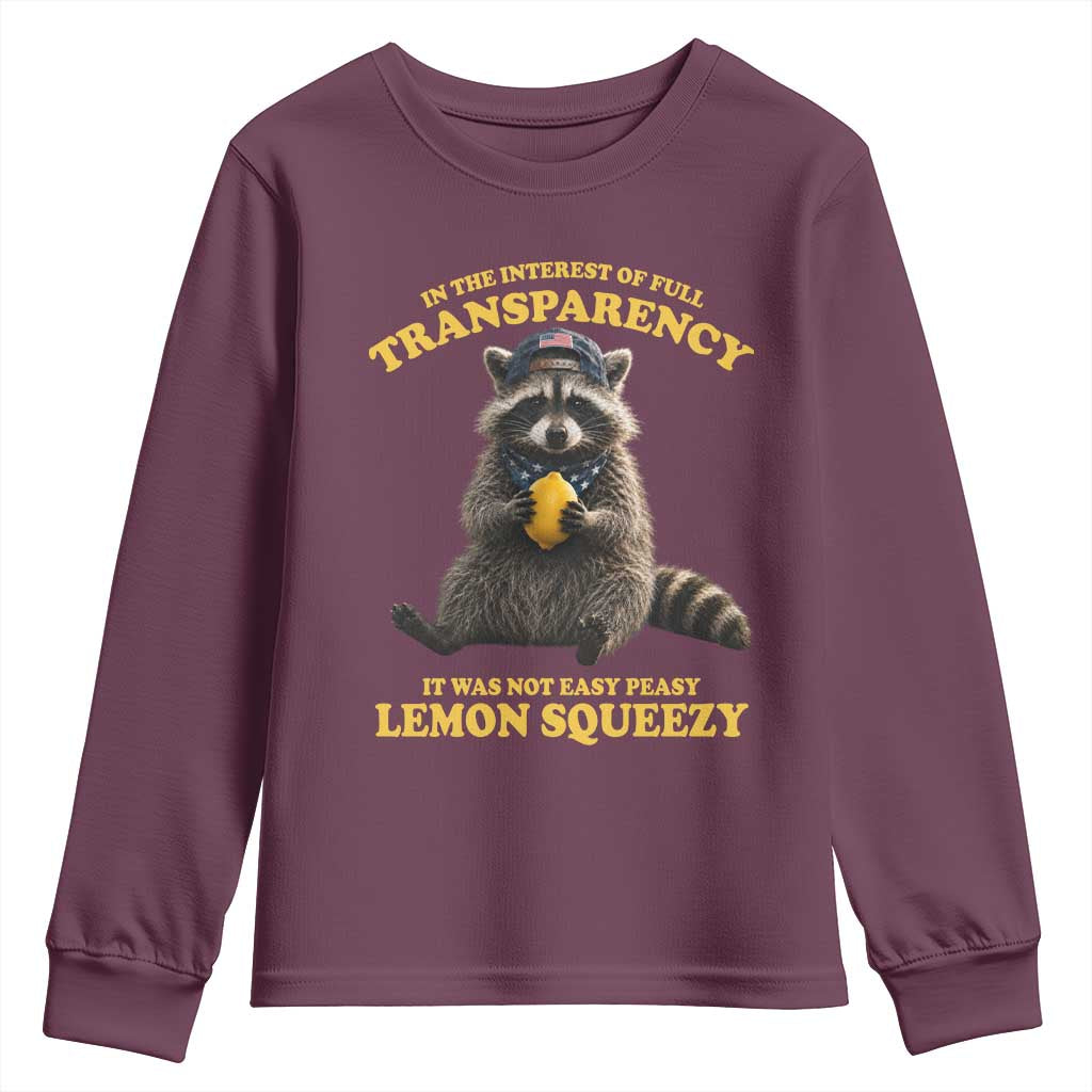 Funny Raccoon Meme Youth Sweatshirt In The Interest Of Full Transparency It Was Not Easy Peasy Lemon Squeezy