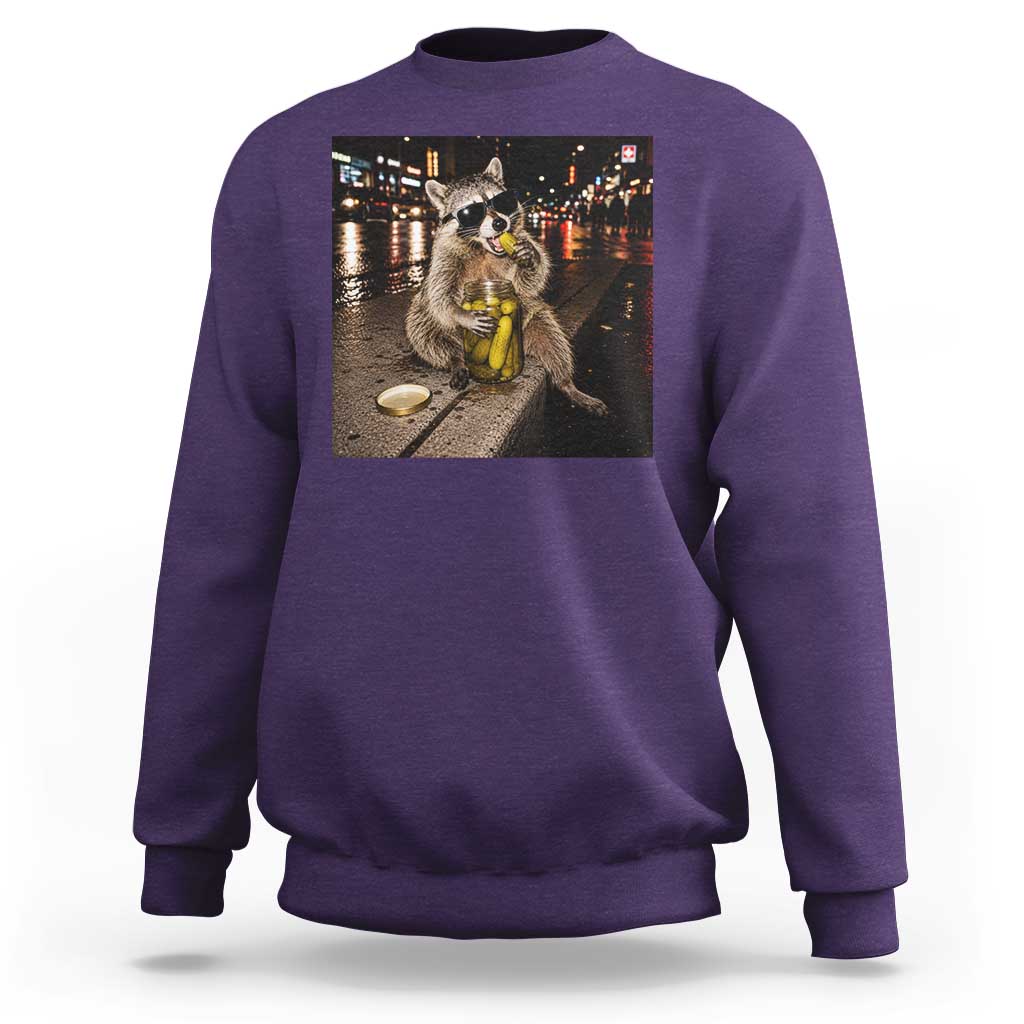 Funny Raccoon Eating Pickles Meme Sweatshirt