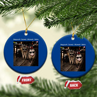 Support Local Street Cats Ceramic Ornament Funny Raccoon Skunk Possum Animal Meme
