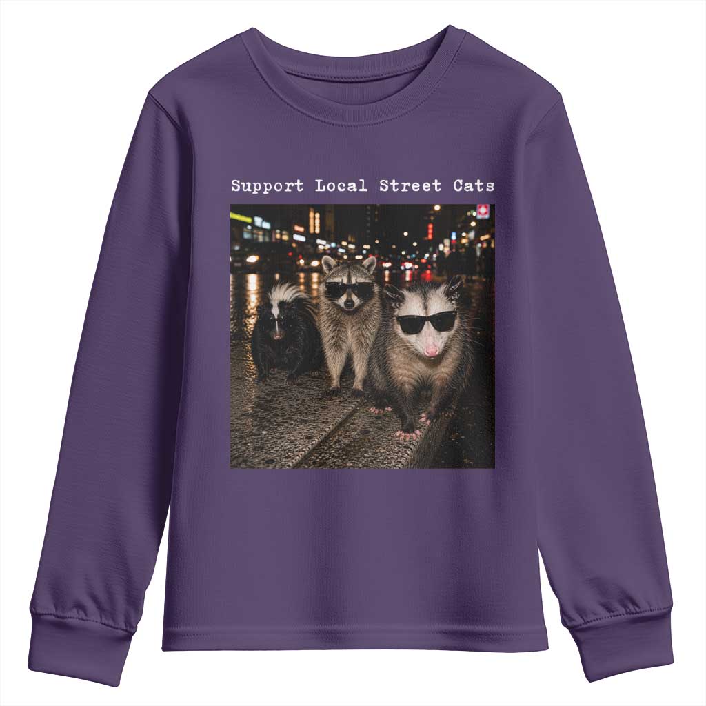 Support Local Street Cats Youth Sweatshirt Funny Raccoon Skunk Possum Animal Meme