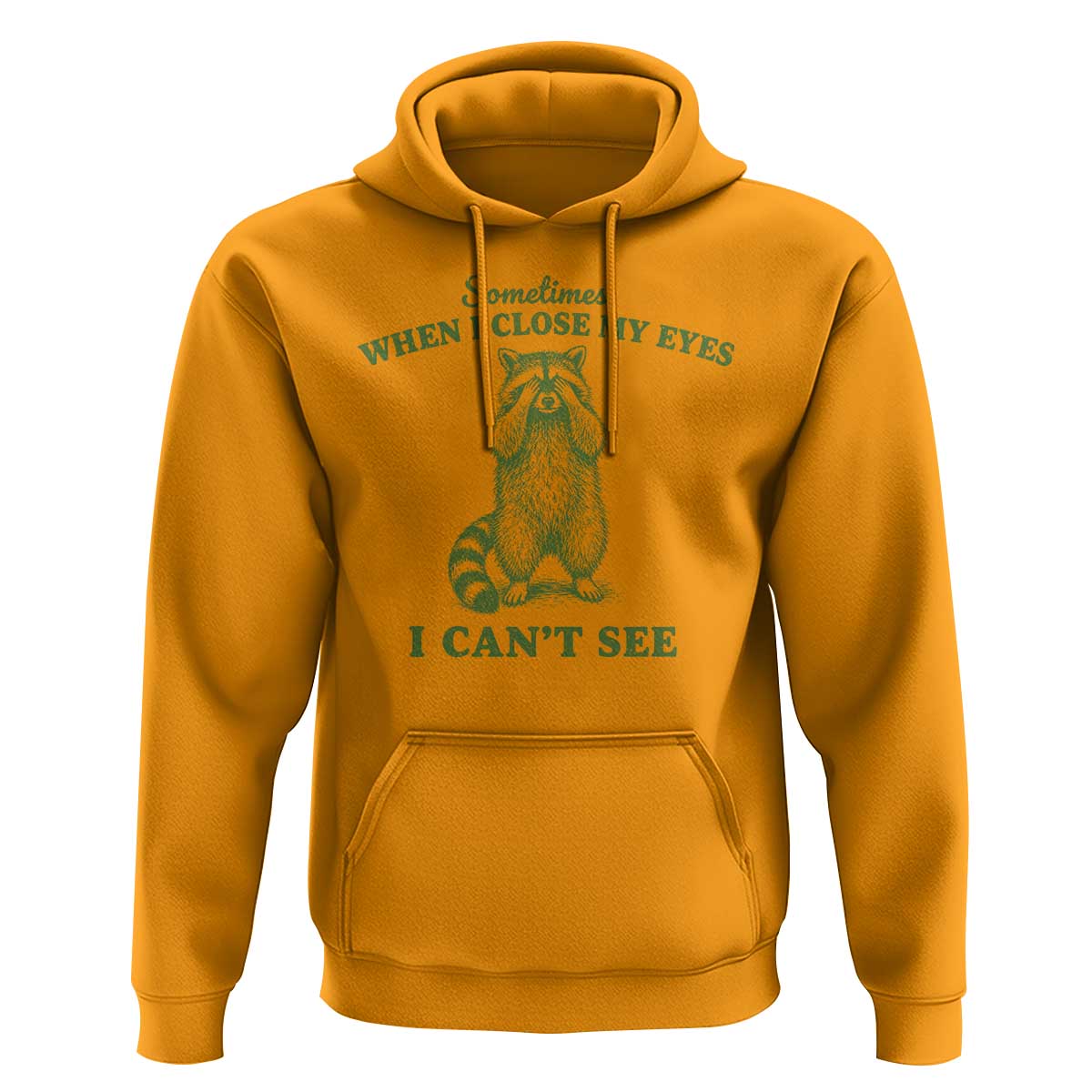 Funny Raccoon Meme Hoodie Sometimes When I Close My Eyes I Cant See Vintage Trash Panda