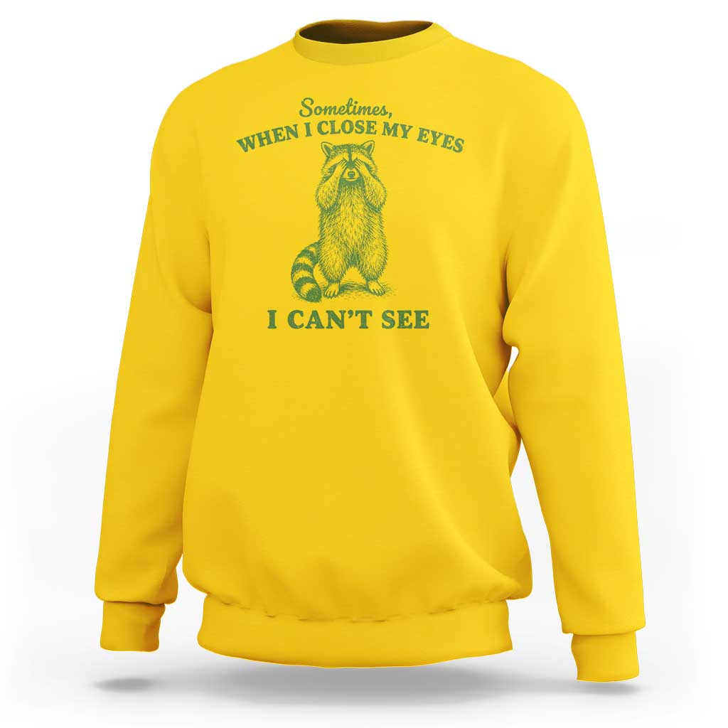 Funny Raccoon Meme Sweatshirt Sometimes When I Close My Eyes I Cant See Vintage Trash Panda