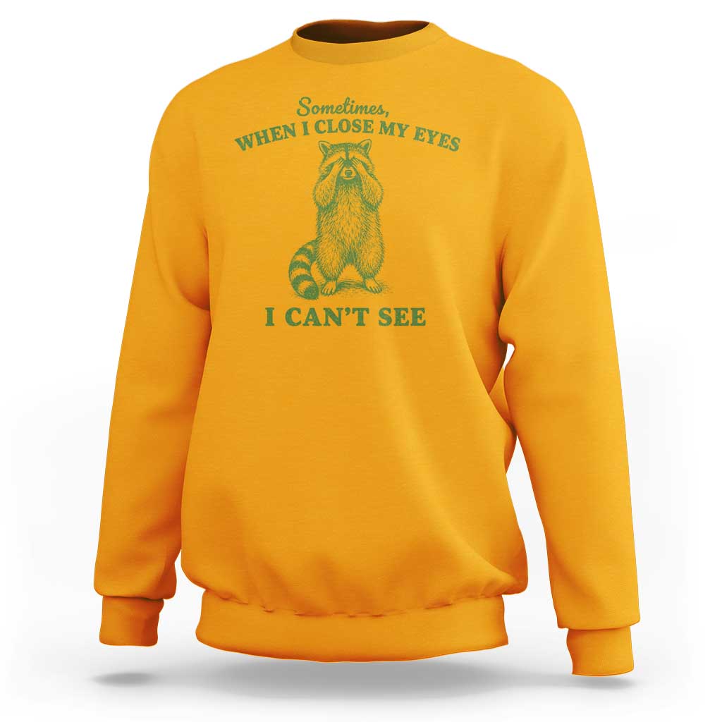 Funny Raccoon Meme Sweatshirt Sometimes When I Close My Eyes I Cant See Vintage Trash Panda