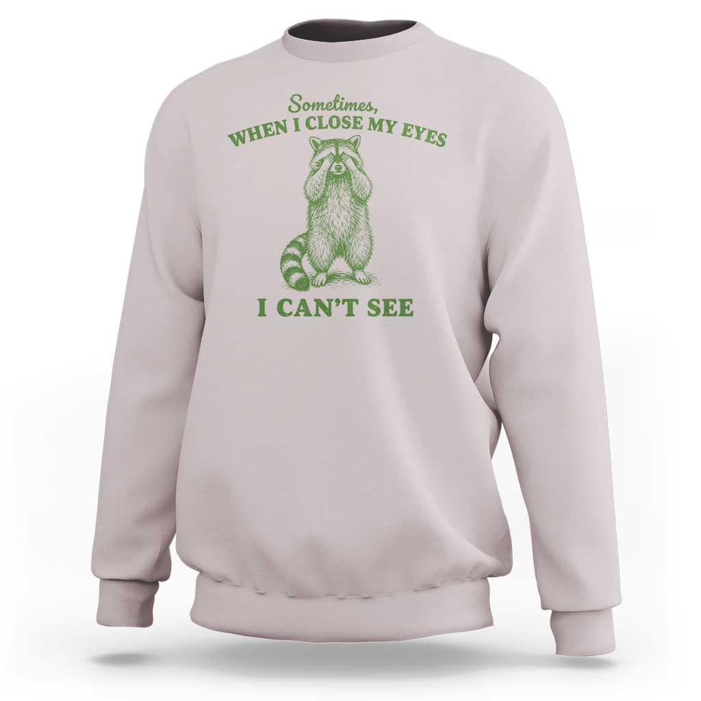 Funny Raccoon Meme Sweatshirt Sometimes When I Close My Eyes I Cant See Vintage Trash Panda