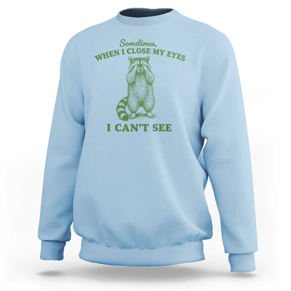 Funny Raccoon Meme Sweatshirt Sometimes When I Close My Eyes I Cant See Vintage Trash Panda