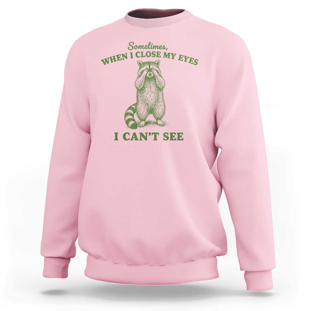 Funny Raccoon Meme Sweatshirt Sometimes When I Close My Eyes I Cant See Vintage Trash Panda