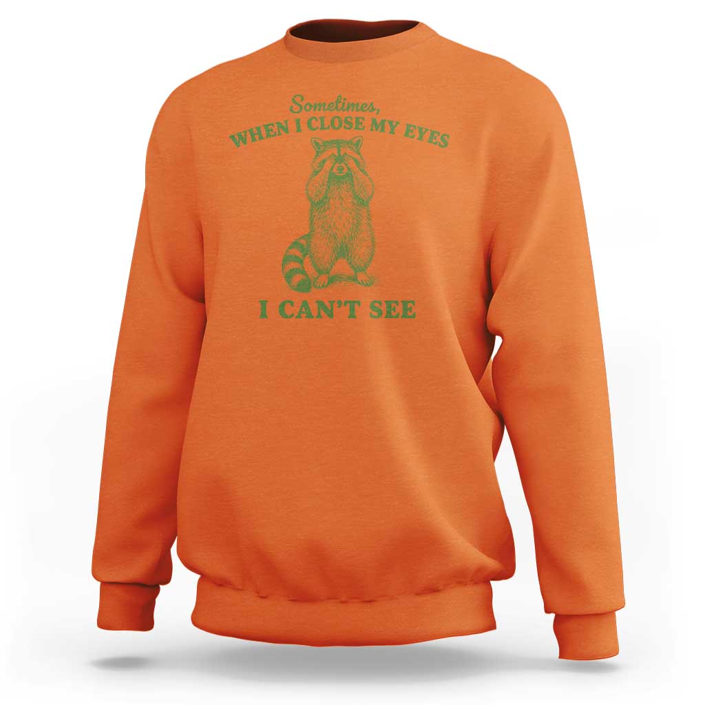 Funny Raccoon Meme Sweatshirt Sometimes When I Close My Eyes I Cant See Vintage Trash Panda