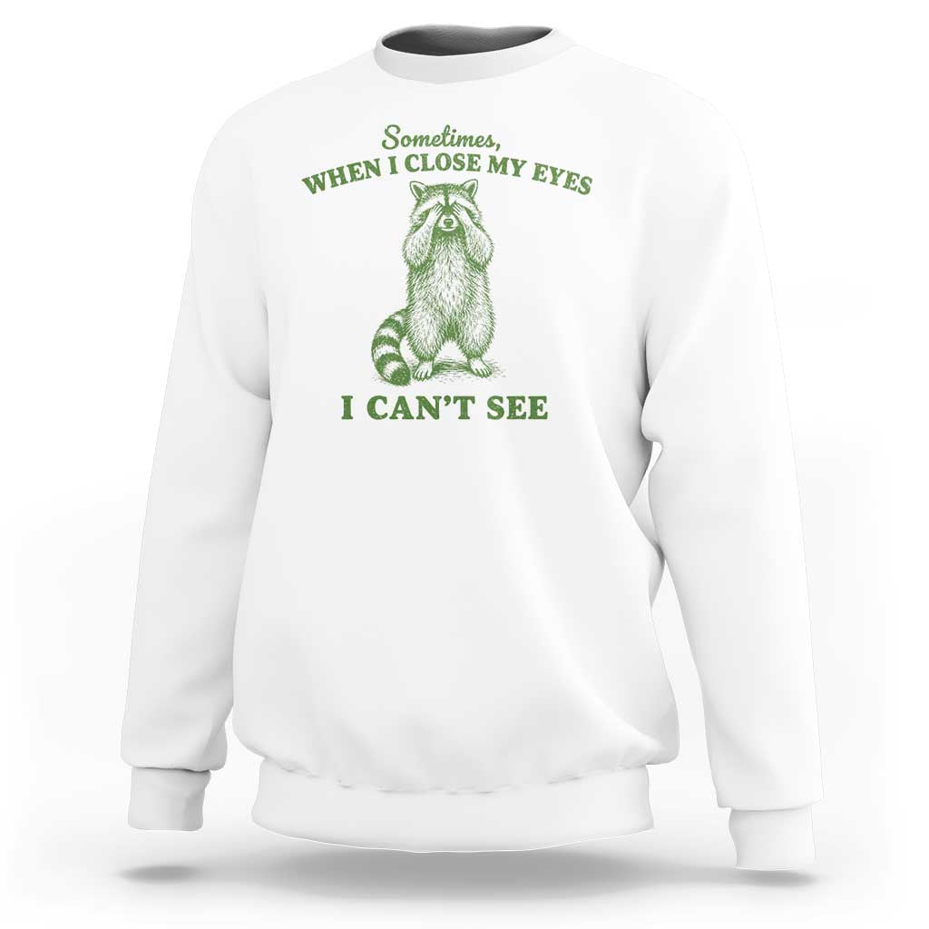 Funny Raccoon Meme Sweatshirt Sometimes When I Close My Eyes I Cant See Vintage Trash Panda