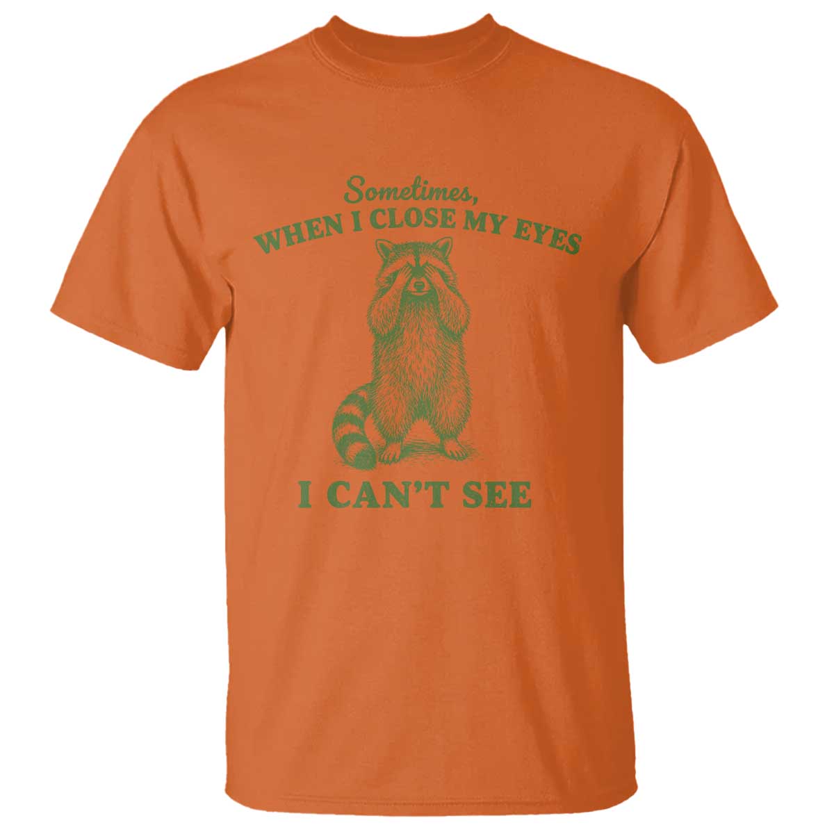 Funny Raccoon Meme T Shirt Sometimes When I Close My Eyes I Cant See Vintage Trash Panda