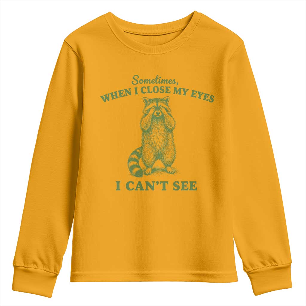 Funny Raccoon Meme Youth Sweatshirt Sometimes When I Close My Eyes I Cant See Vintage Trash Panda
