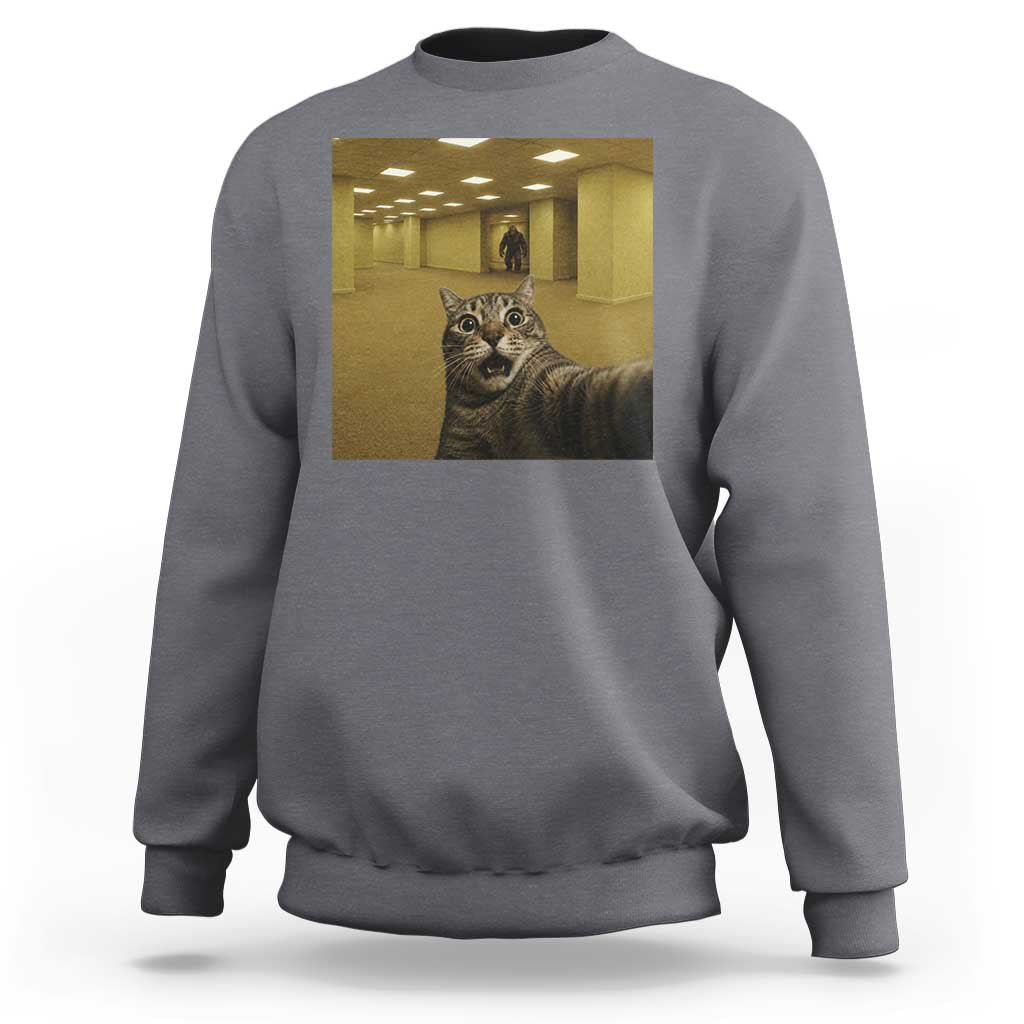 Funny Cat Selfie with Bigfoot Sasquatch Backrooms Liminal Space Meme Sweatshirt