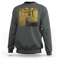Funny Cat Selfie with Bigfoot Sasquatch Backrooms Liminal Space Meme Sweatshirt