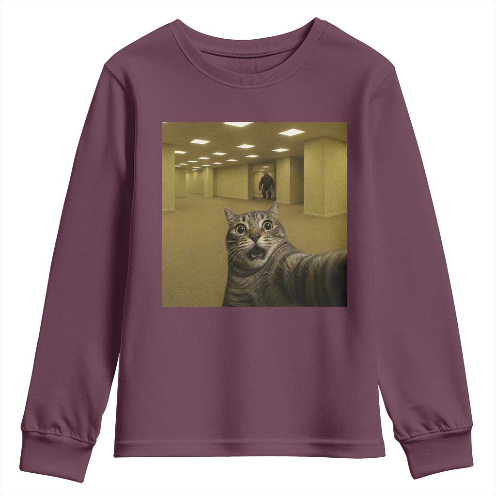 Funny Cat Selfie with Bigfoot Sasquatch Backrooms Liminal Space Meme Youth Sweatshirt