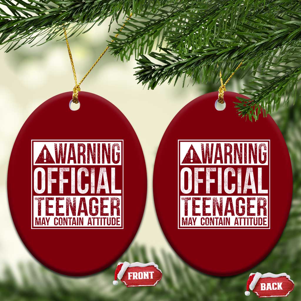 13th Birthday Ceramic Ornament Warning Official Teenager Boy 13yr