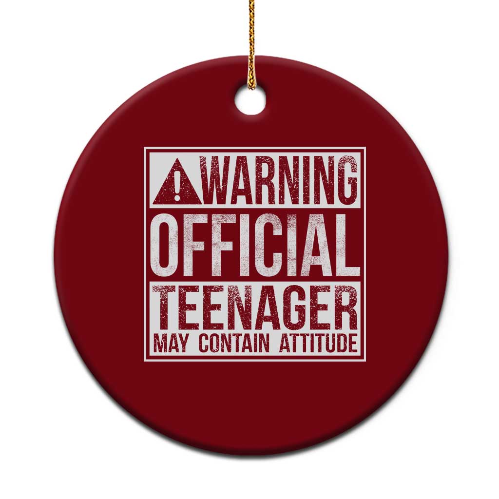13th Birthday Ceramic Ornament Warning Official Teenager Boy 13yr