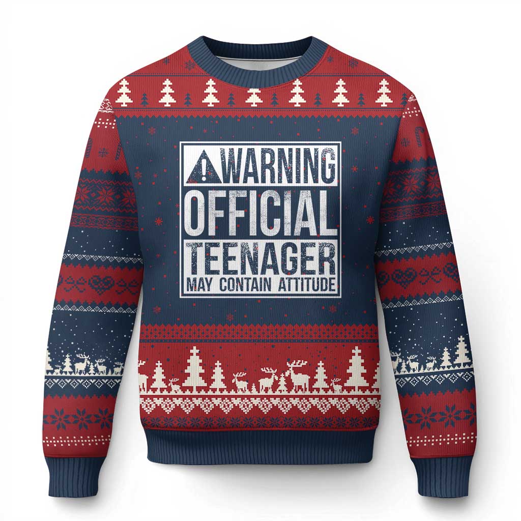 13th Birthday Ugly Christmas Sweater Warning Official Teenager Boy 13yr