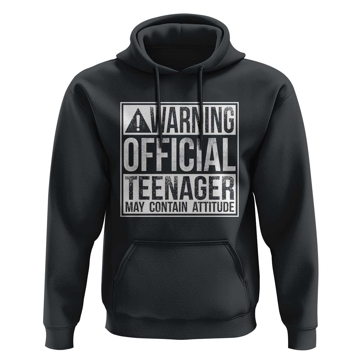13th Birthday Hoodie Warning Official Teenager Boy 13yr