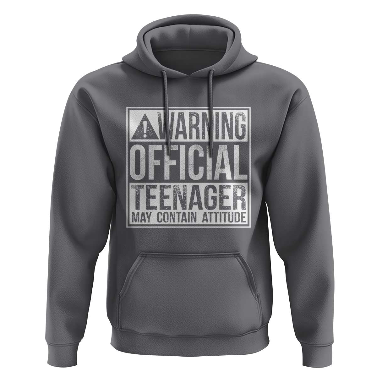 13th Birthday Hoodie Warning Official Teenager Boy 13yr