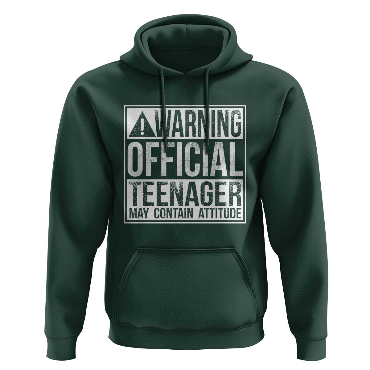 13th Birthday Hoodie Warning Official Teenager Boy 13yr