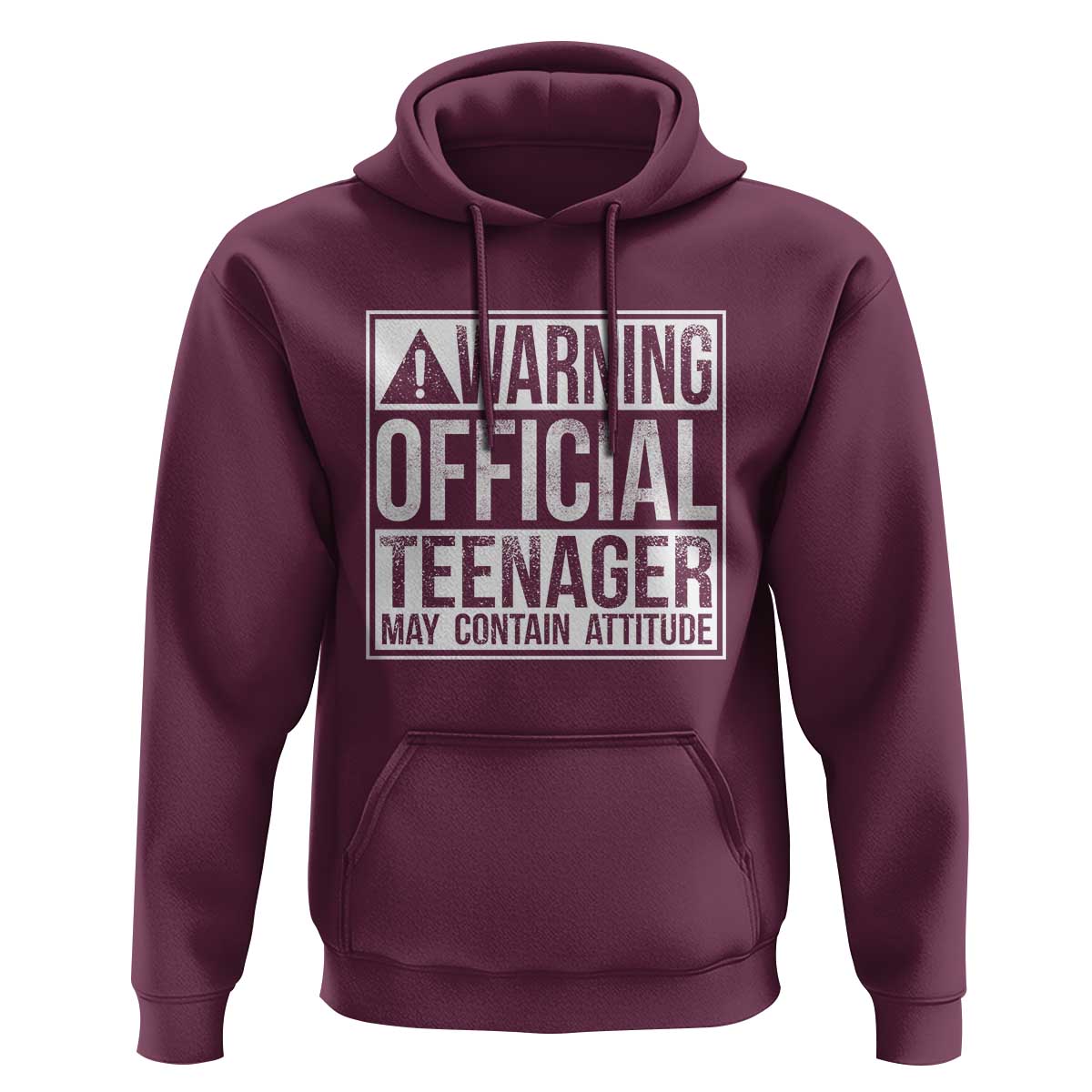 13th Birthday Hoodie Warning Official Teenager Boy 13yr