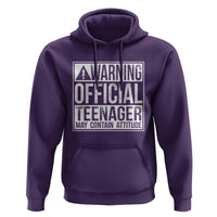 13th Birthday Hoodie Warning Official Teenager Boy 13yr