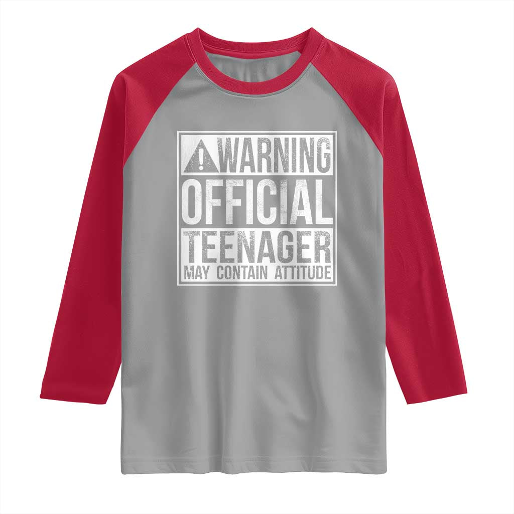 13th Birthday Raglan Shirt Warning Official Teenager Boy 13yr