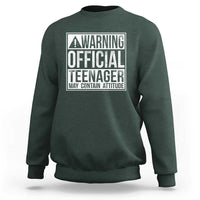 13th Birthday Sweatshirt Warning Official Teenager Boy 13yr